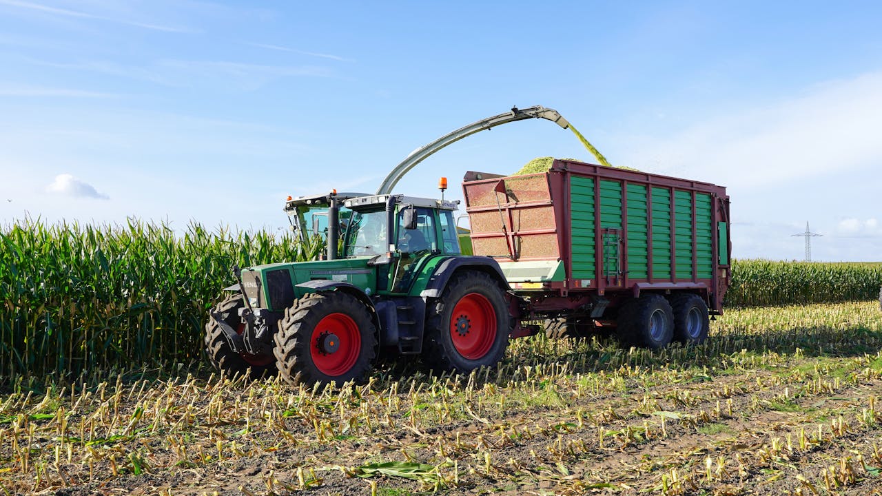 Tractor and trailer in cornfield during harvest in Marschacht, Germany.