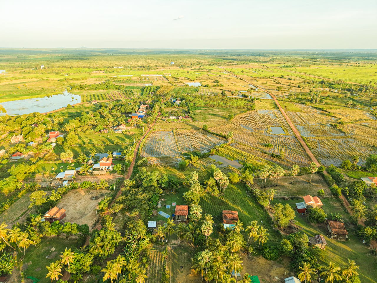 A stunning aerial view of Cambodia's lush countryside landscapes, featuring rice paddies and farmland.