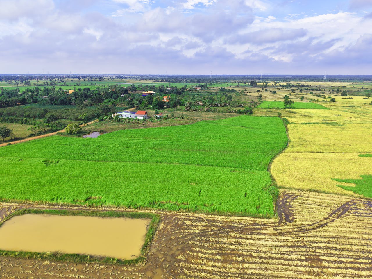 Aerial shot of lush green fields and farmland in Cambodia's countryside.
